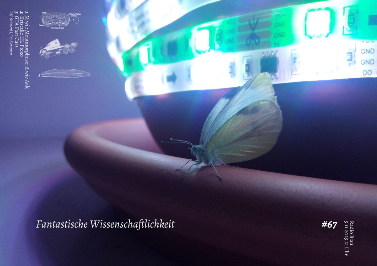 Flyer für FW#67: Close-Up Foto eines Zitronenfalters, der auf dem Rand eines tönernen Blumentopfuntersetzers sitzt, die Flügel halb gespreizt, wach. Das moody Licht kommt von einem LED-Streifen, der um den Blumentopf gewickelt ist. Die LEDs überstrahlen, der Rest ist dunkel-violett-weich, im Gegenlicht-Kontrast dazu halbtransparente Zitronenflügel. Ergänzend zu Titel und Themen gibt es 3 kleine Strichzeichnungen: ein technische Zeichnung eines Rings mit Wellenmuster; ein fliegender Truck, eine Weidenblattlarve. Klein steht da noch: RIP Schmetti I, */† Dez 2020.