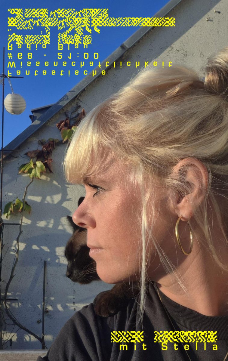 Flyer mit Sendungsname + Uhrzeit, doppelt in krypische-chaotischen Zeichen und komisch gespiegelt; dazwischen schaut Stella ernst links aus dem Bild unter einem schönen abendlichen blauen Himmel. Hinter ihrem Profil schaut eine Siamkatze im Profil auch aus dem Bild!