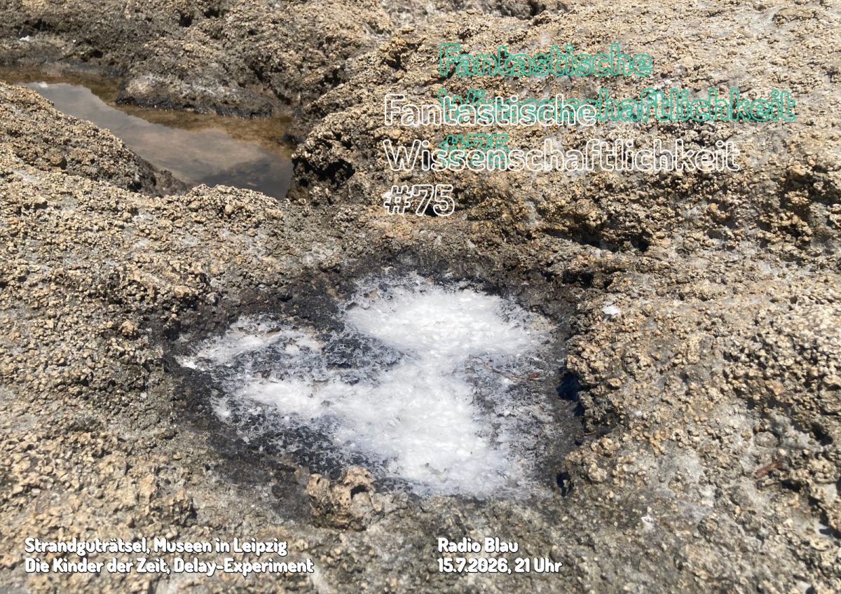 Flyer für FW#75: an einem felsigen Strand sind zwei Tümpelchen: einer braun und mit Wasser, der andere salzig auskristallisiert. Urzeitlich! Darüber leere, strichige Typographie, gedoppelt und verrutscht.