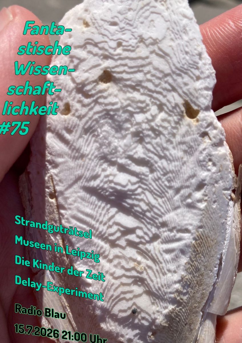 Flyer für FW#75: eine Hand hält einen Schulp, das Endoskelett einer Sepie, etwa so groß wie zwei Daumen, oval, weiß. Die oberfläche ist unregelmäßig abgetragen, sodass sich die Kalkschichten wie pixelige Terrassen aus dem 3D-Drucker abzeichnen. Die Typo sitzt schräg/skewed drauf.