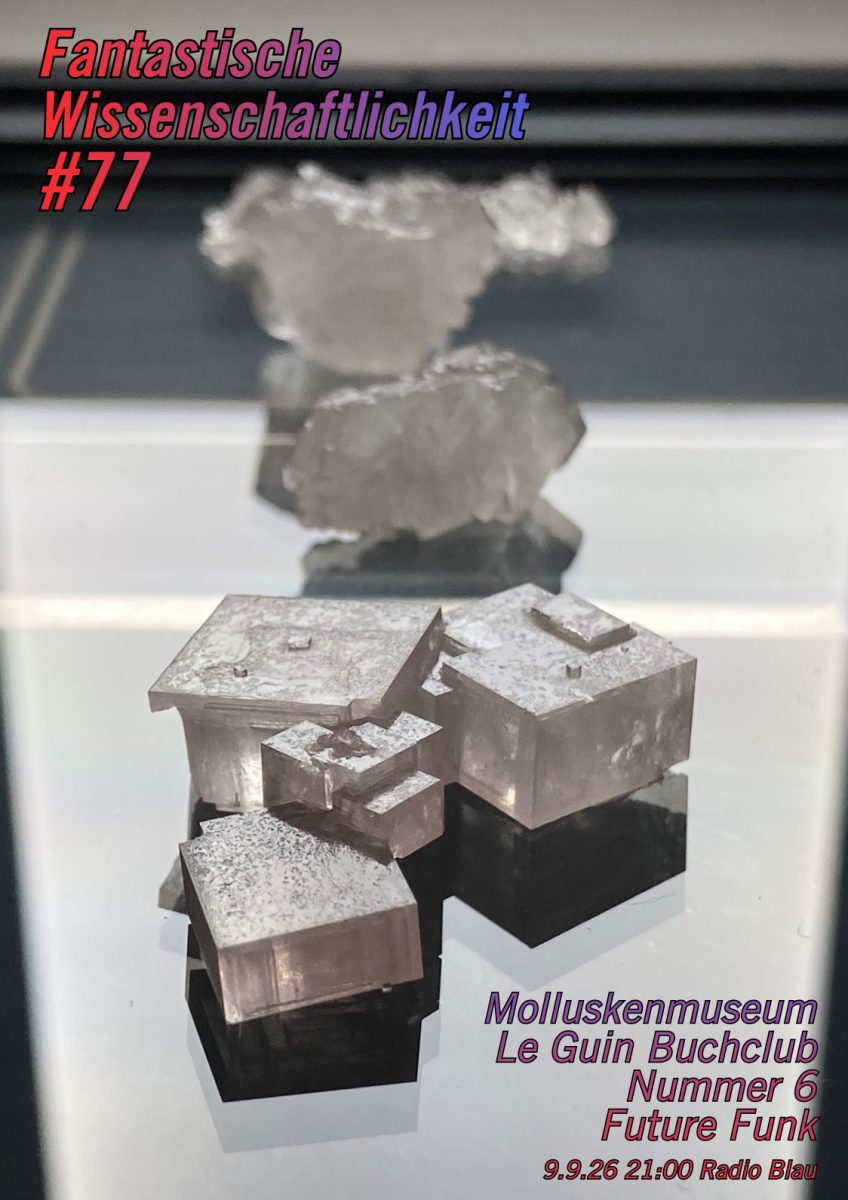 Flyer für FW#77: mehrere Kristalle präsentieren sich auf einer Glasscheibe, einem Scanner-bett, von hinten gleichmäßig be- und durchleuchtet. Der Scanner ist ein geometrischer Hintergrund für die architektonischen Salzkristalle, die sich wie mehrere Bungalows mit Kapitellen zusammengeklumpt haben. Ihnen folgen chaotischere Kristall-Klumpen, unscharf im Hintergrund. Darüber Typo (Titel, Themen), technischer Font, mit knalligem blau-rot-Verlauf.