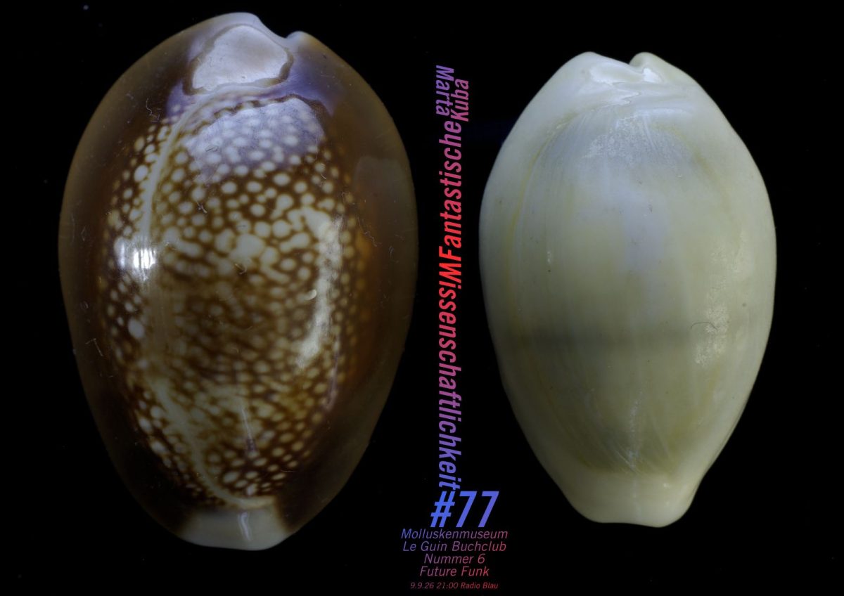 Flyer für FW#77: Makro-Fotografie von zwei Kauri-Muscheln von oben (keine Münder sichtbar). Eine etwas größer, braun grau gesprenkelt, die andere hellgrau-gestreift. Bezeichnet mit Marta bzw. Kuba; die Typo (Titel, Themen), eingequetscht und richtungwechselnd zwischen den Muscheln, ist gefärbt mit einem unpassenden blau-rot-Verlauf nach innen.